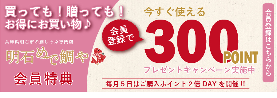 会員登録で300ポイントプレゼント