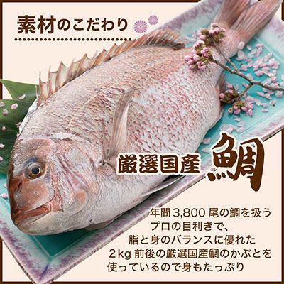 充実の品 SHIRES ケリー 300g オンラインストア公式店 厚馬着 厚馬衣